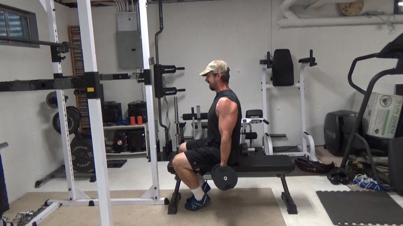 Seated Bench Clamp Strict Dumbbell Curls