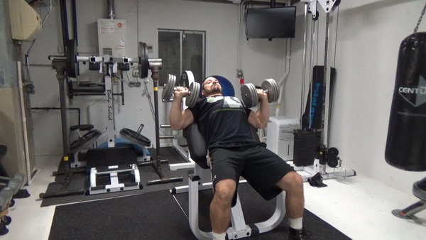 Build Your Upper Chest With Preacher Bench Incline Dumbbell Bench Press Bottom