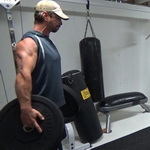 Bumper Plate "A" Carries For Traps and Side Delts