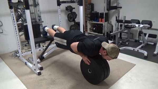 Build Tricep Mass With Vertical Bumper Plate Push-Ups Bottom