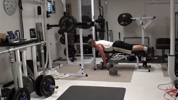 Chest Supported Dumbbell Rows