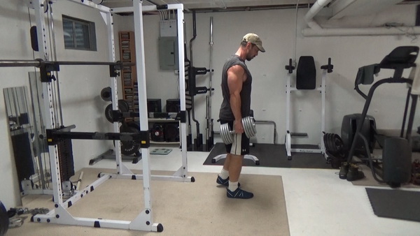 Reverse Dumbbell Lunges