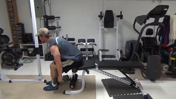 Seated Dumbbell Rows