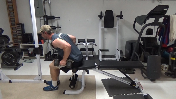 Seated Dumbbell Rows