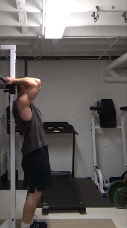 Bicep Hold Ab Levers (Hanging Dragon Flags) For Lower Abs
