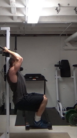 Bicep Hold Ab Levers (Hanging Dragon Flags) For Lower Abs