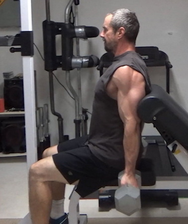 Preacher Bench Arm Blaster Curls for Strict Bicep Work
