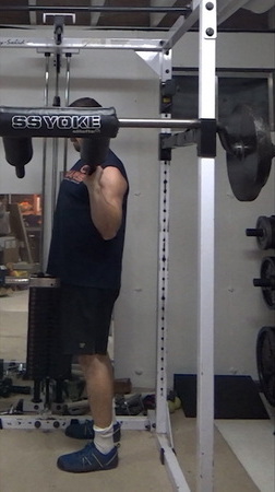 Safety Squat Bar Rotary Side Press for Bigger Side Delts